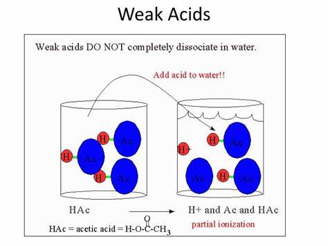 关于水溶液中的离子平衡IB化学考点汇总