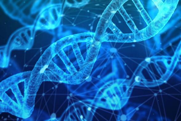 IB生物考点解析:关于遗传类题型答题要点指导