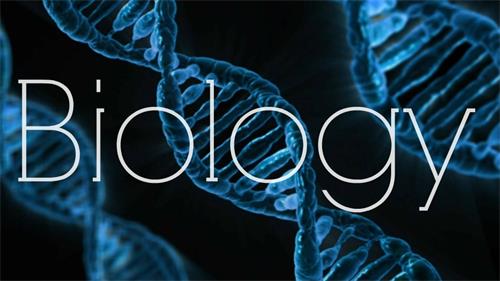 IB生物知识点串联,这些要点你要牢记!